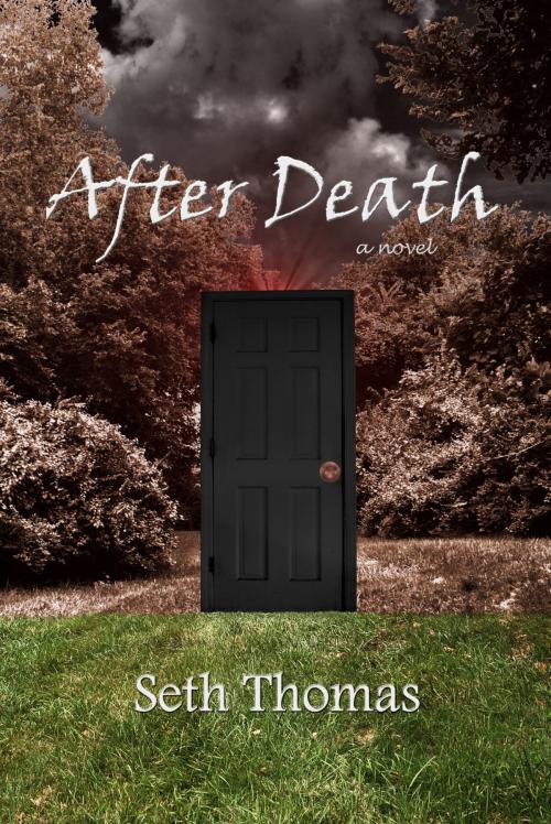 Cover of the book After Death by Seth Thomas, Seth Thomas