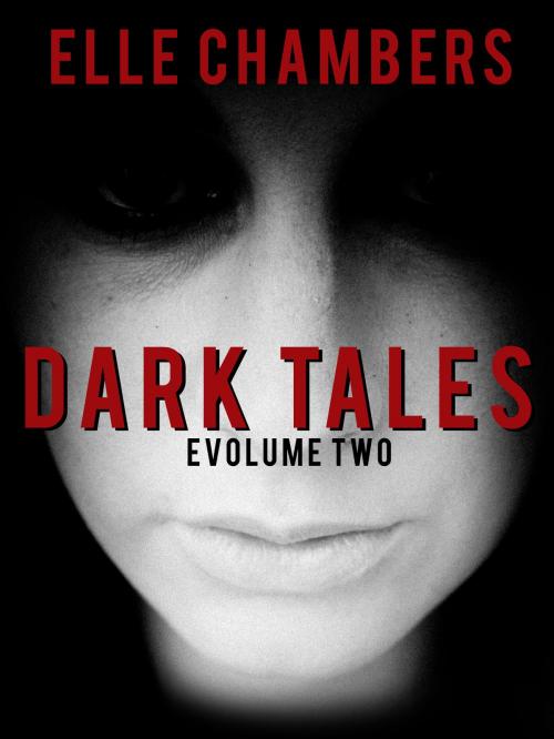 Cover of the book Dark Tales: eVolume Two by Elle Chambers, Indie Spirit Press