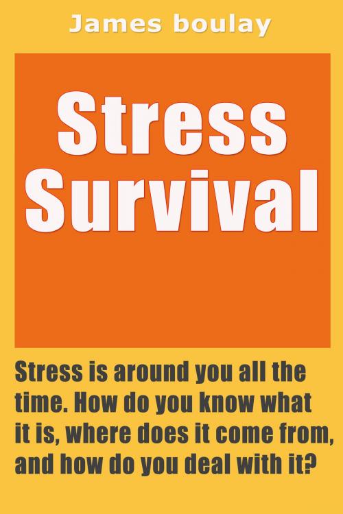 Cover of the book Stress Survival by James Paul, James Paul