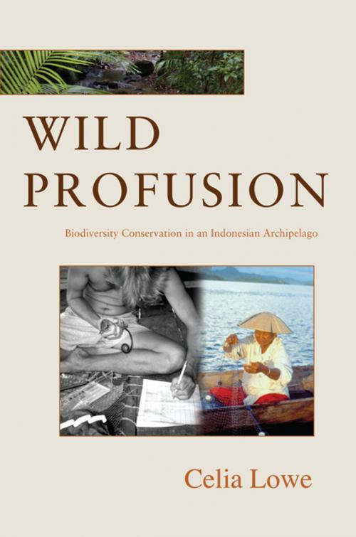 Cover of the book Wild Profusion by Celia Lowe, Princeton University Press