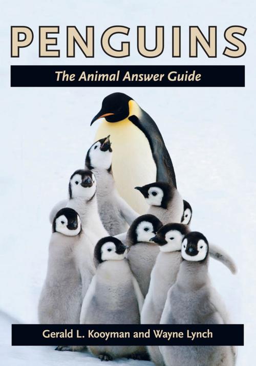 Cover of the book Penguins by Gerald L. Kooyman, Wayne Lynch, Johns Hopkins University Press