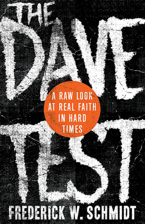 Cover of the book The Dave Test by Frederick W. Schmidt, Abingdon Press