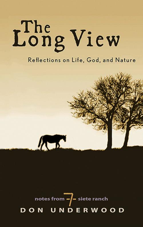 Cover of the book The Long View by Don Underwood, Abingdon Press