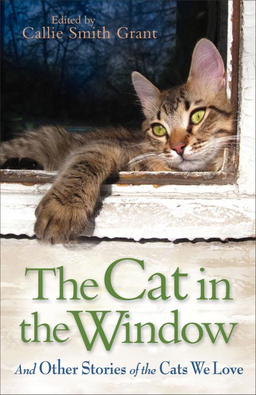 Cover of the book Cat in the Window, The by , Baker Publishing Group