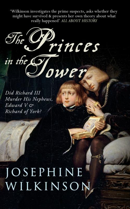 Cover of the book The Princes in the Tower by Josephine Wilkinson, Amberley Publishing