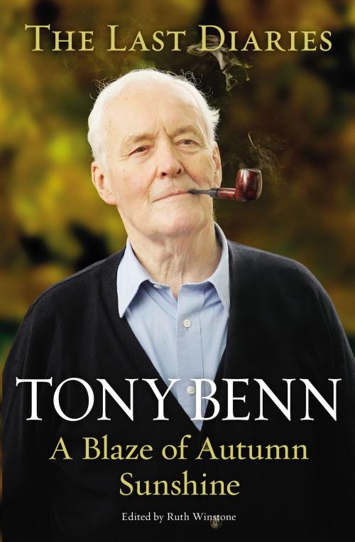 Cover of the book A Blaze of Autumn Sunshine by Tony Benn, Random House
