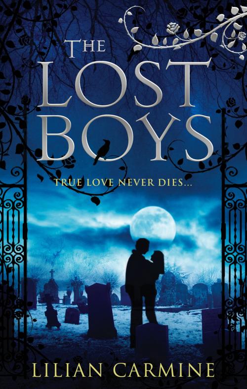 Cover of the book The Lost Boys by Lilian Carmine, Ebury Publishing
