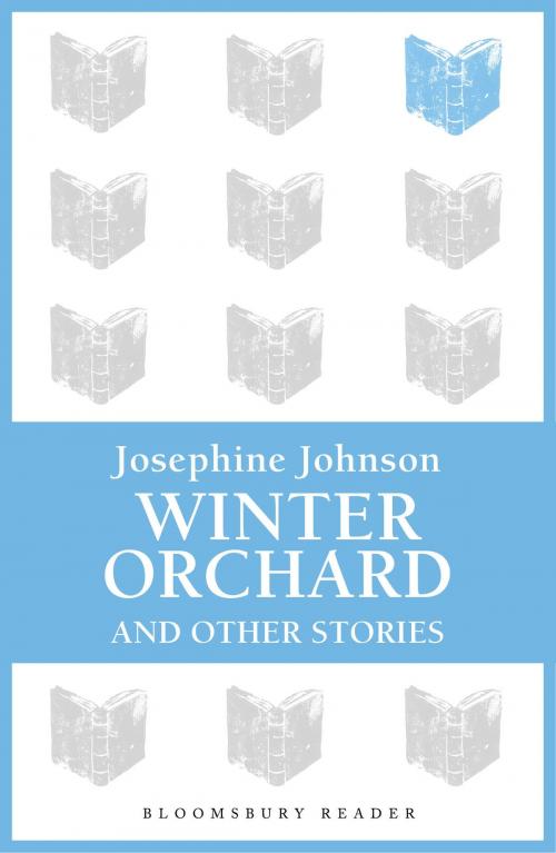 Cover of the book Winter Orchard and Other Stories by Josephine Johnson, Bloomsbury Publishing