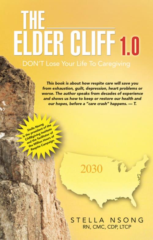 Cover of the book The Elder Care Cliff 1.0 by Stella Nsong, Balboa Press