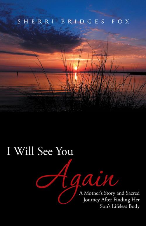 Cover of the book I Will See You Again by Sherri Bridges Fox, Balboa Press