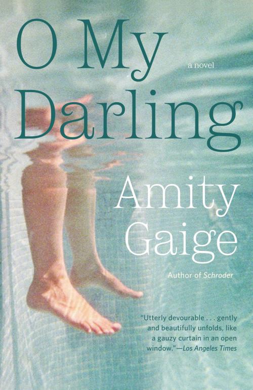 Cover of the book O My Darling by Amity Gaige, Grand Central Publishing