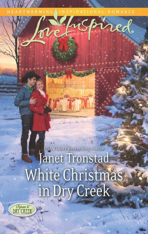 Cover of the book White Christmas in Dry Creek by Janet Tronstad, Harlequin