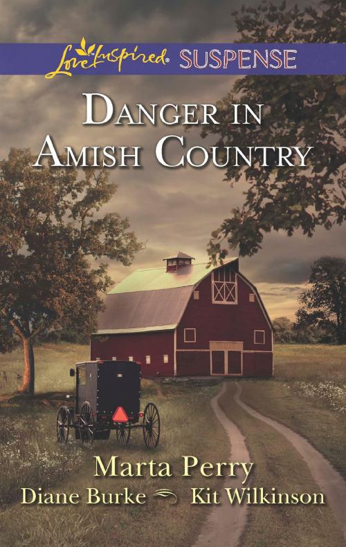 Cover of the book Danger in Amish Country by Marta Perry, Diane Burke, Kit Wilkinson, Harlequin