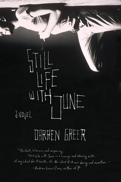 Cover of the book Still Life with June by Darren Greer, St. Martin's Press