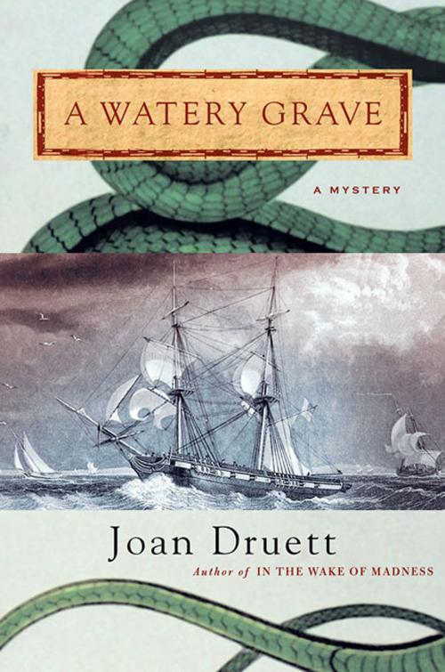 Cover of the book A Watery Grave by Joan Druett, St. Martin's Press
