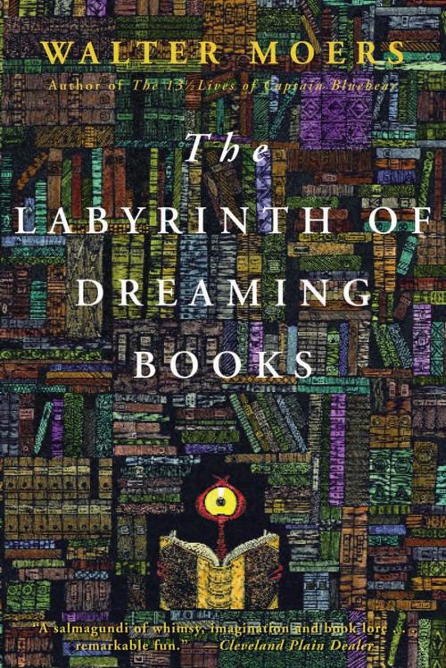 Cover of the book Labyrinth of Dreaming Books by Walter Moers, ABRAMS