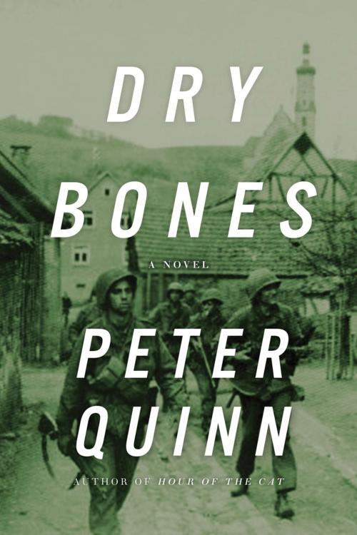 Cover of the book Dry Bones by Peter Quinn, ABRAMS