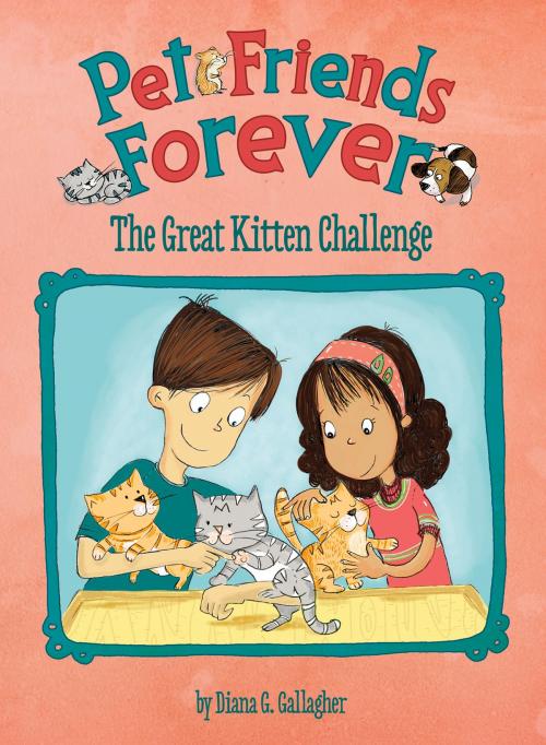 Cover of the book The Great Kitten Challenge by Diana G Gallagher, Capstone
