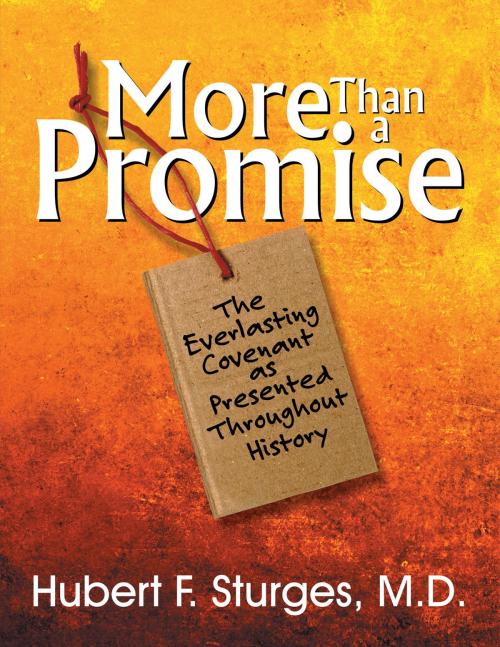 Cover of the book More Than a Promise by Hurbert F. Sturges, TEACH Services, Inc.