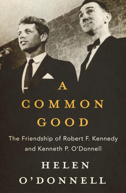 Cover of the book A Common Good by Helen O'Donnell, Open Road Media