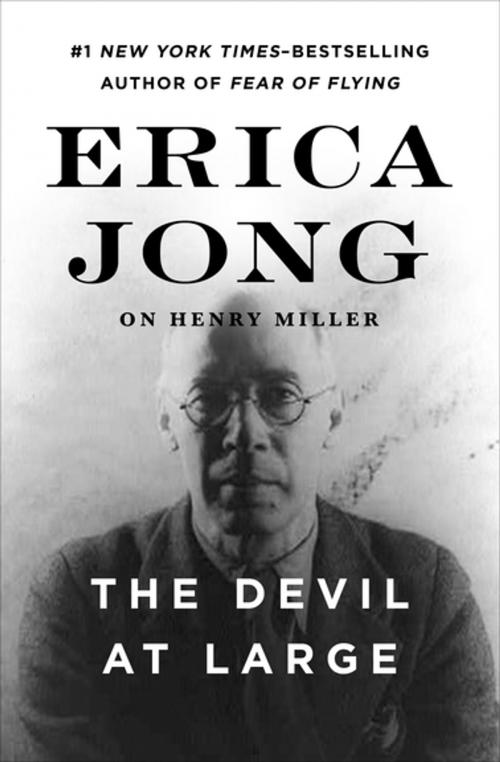 Cover of the book The Devil at Large by Erica Jong, Open Road Media