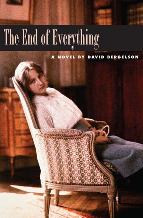 Cover of the book The End of Everything by David Bergelson, Yale University Press