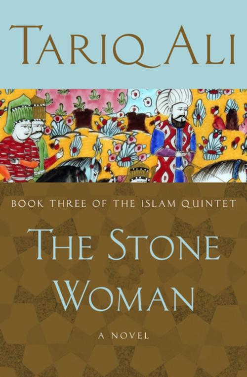 Cover of the book The Stone Woman by Tariq Ali, Open Road Media