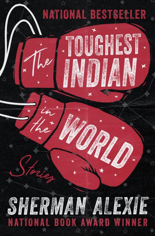 Cover of the book The Toughest Indian in the World by Sherman Alexie, Open Road Media
