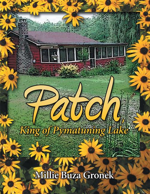 Cover of the book Patch, King of Pymatuning Lake by Millie Buza Gronek, Archway Publishing