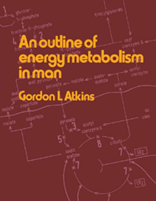 Cover of the book An Outline of Energy Metabolism in Man by Gordon L. Atkins, Elsevier Science