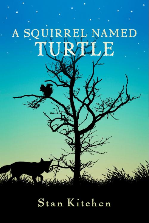 Cover of the book A Squirrel Named Turtle by Stan Kitchen, BookBaby