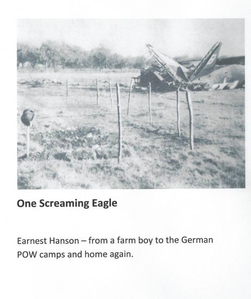 Cover of the book One Screaming Eagle by Rhonda Hanson, BookBaby