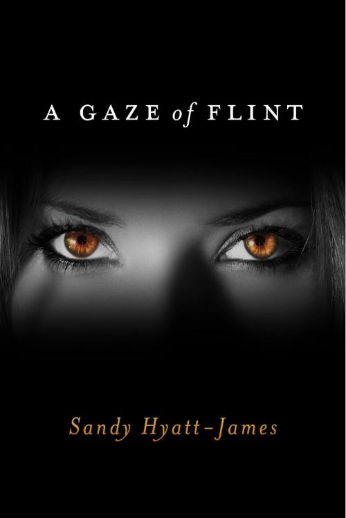 Cover of the book A Gaze Of Flint by Sandy Hyatt-James, BookBaby