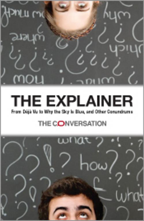 Cover of the book The Explainer by CSIRO Publishing, CSIRO PUBLISHING