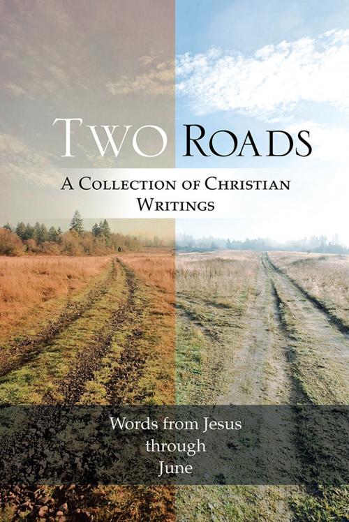 Cover of the book Two Roads by June, WestBow Press