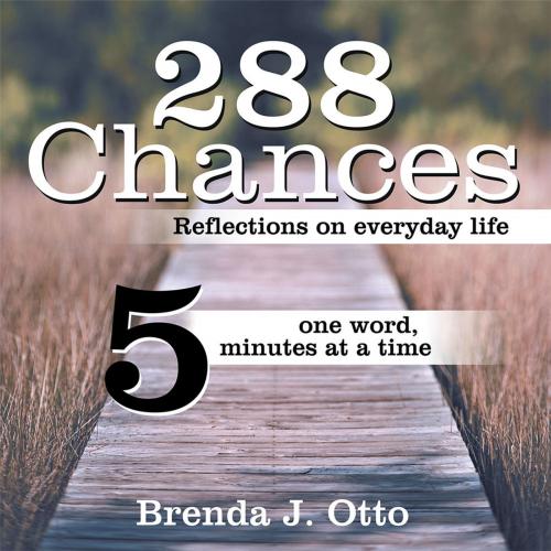 Cover of the book 288 Chances by Brenda J. Otto, WestBow Press