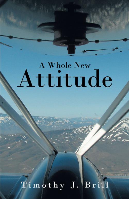 Cover of the book A Whole New Attitude by Timothy J. Brill, iUniverse