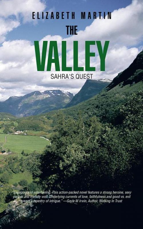 Cover of the book The Valley by Elizabeth Martin, iUniverse