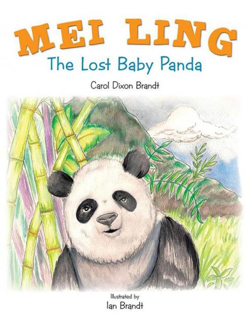 Cover of the book Mei Ling by Carol Dixon Brandt, AuthorHouse