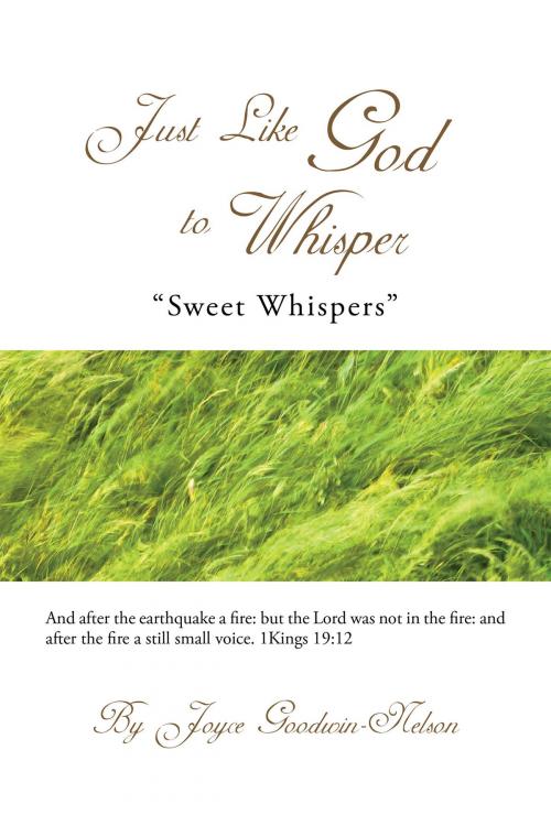 Cover of the book Just Like God to Whisper by Joyce Goodwin-Nelson, AuthorHouse