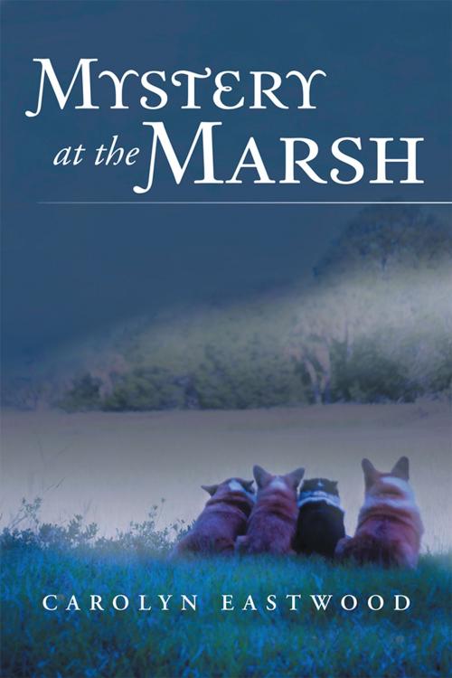 Cover of the book Mystery at the Marsh by Carolyn Eastwood, AuthorHouse