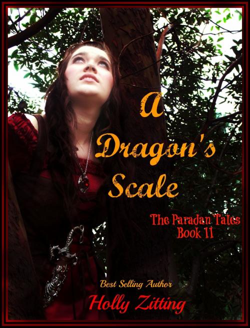 Cover of the book A Dragon's Scale by Holly Zitting, Holly Zitting