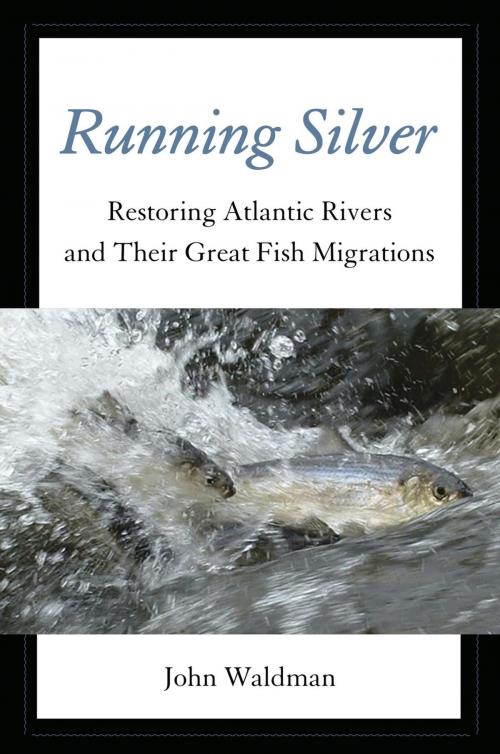 Cover of the book Running Silver by John Waldman, Lyons Press