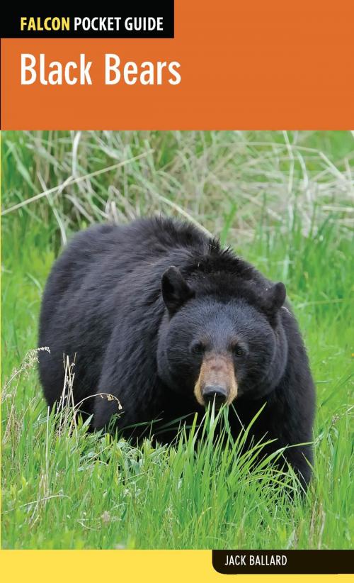 Cover of the book Black Bears by Jack Ballard, Falcon Guides