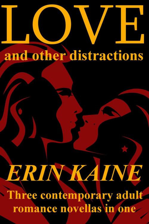 Cover of the book LOVE and Other Distractions: Three contemporary adult romance novellas by Erin Kaine, Janus Expressions