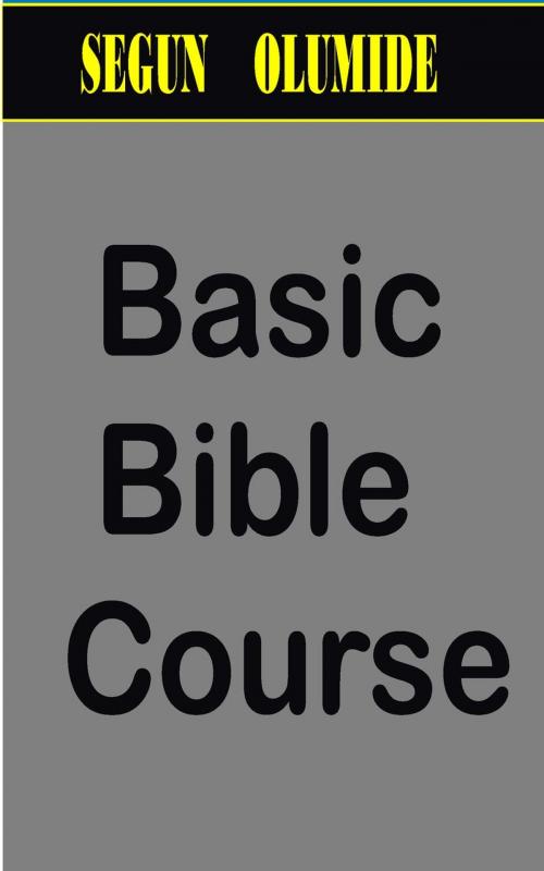 Cover of the book Basic Bible Course by SEGUN  OLUMIDE, SEGUN  OLUMIDE