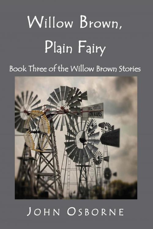 Cover of the book Willow Brown, Plain Fairy by John Osborne, John Osborne