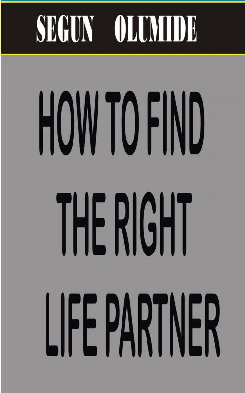 Cover of the book How To Find The Right Life Partner by SEGUN  OLUMIDE, SEGUN  OLUMIDE