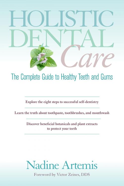 Cover of the book Holistic Dental Care by Nadine Artemis, North Atlantic Books