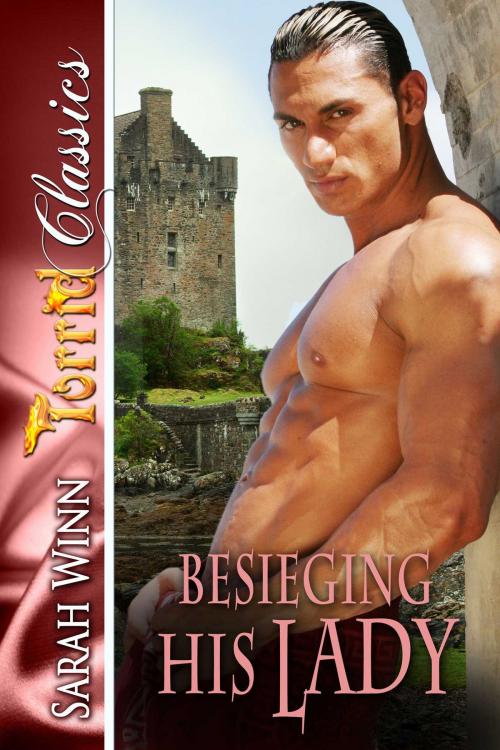 Cover of the book Besieging His Lady by Sarah Winn, Torrid Books
